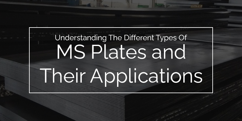 Understanding the Different Types of MS Plates and Their Applications